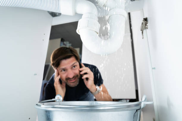 Best Emergency Plumbing Repair  in Greenville, FL