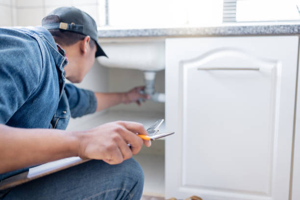 Best Local Plumber Services  in Greenville, FL