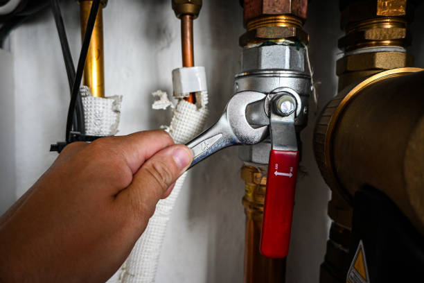 Best Plumbing Inspection Services  in Greenville, FL